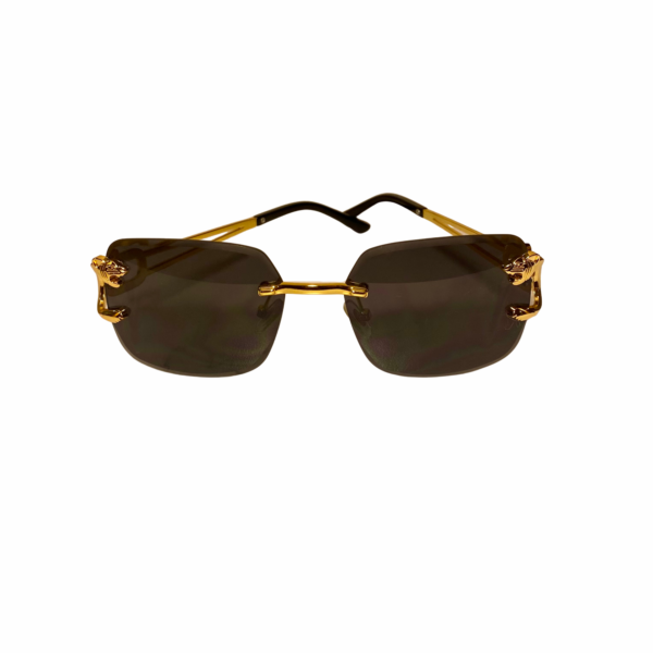 Black and Gold Sunglasses - Image 4