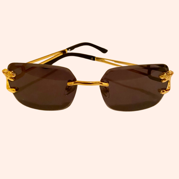 Black and Gold Sunglasses