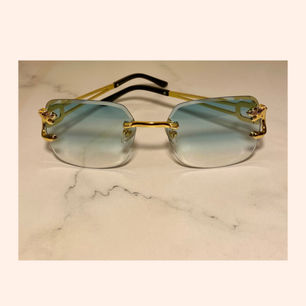 Blue and Gold Sunglasses